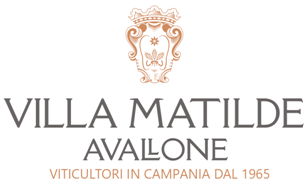 Vendemmia 2021 – Inizia il raccolto a Villa Matilde Avallone DA 60 ANNI VITICOLTORI IN CAMPANIA FELIX